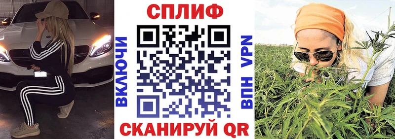 Купить закладки  Холмск  Бошки Шишки OG Kush 